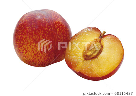 貴陽梅花_10（通過） 68115487