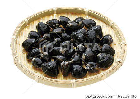 Shijimi_001(通過) Shijimi_001(通過) 68115496