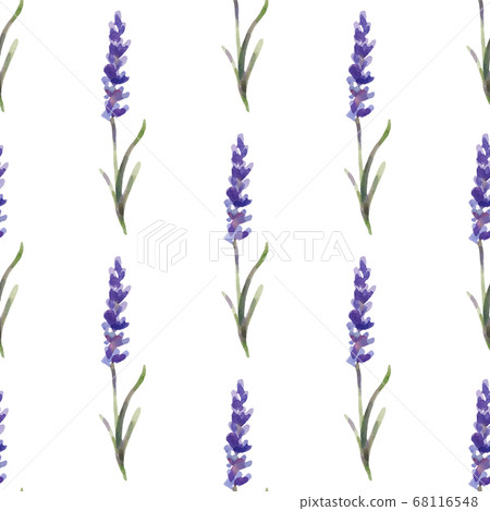 Vector illustration. seamless pattern of lavender flowers. Watercolor painting Vector illustration. seamless pattern of lavender flowers. Watercolor painting 68116548