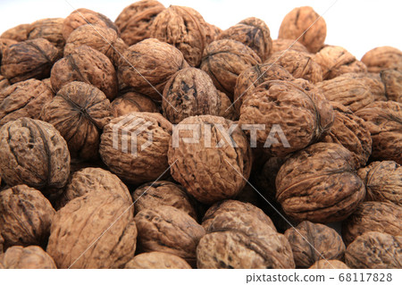 big wallnuts isolated big wallnuts isolated 68117828