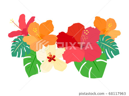 沖繩芙蓉材料 沖繩芙蓉材料 68117963