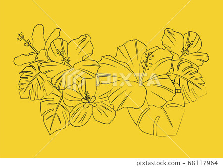 沖繩芙蓉材料 沖繩芙蓉材料 68117964