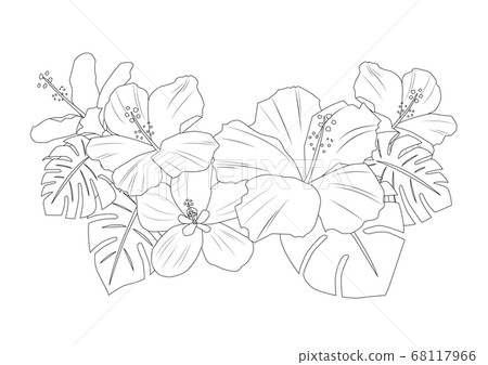 沖繩芙蓉材料 68117966