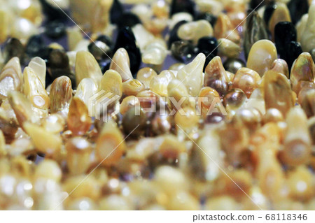 natural pearl texture 68118346