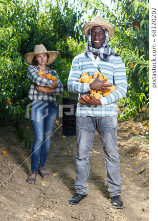 Couple of farmers with peaches in hands Couple of farmers with peaches in hands 68120202