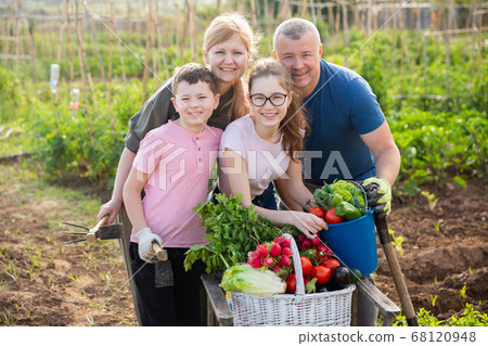 Family posing in garden with picked vegetables 68120948