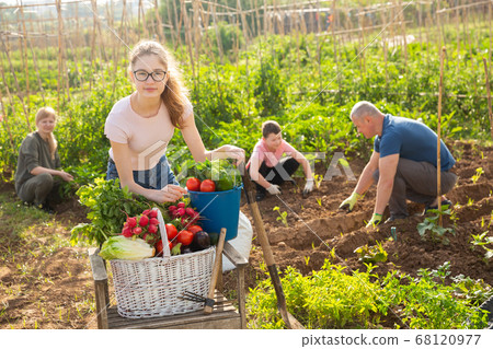Smiling teen girl with freshly harvested vegetables in family garden 68120977