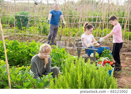 Woman working at small home garden with family 68121002