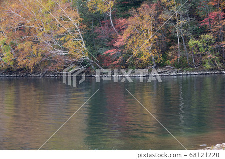 Colorfully colored forest and lake surface Colorfully colored forest and lake surface 68121220