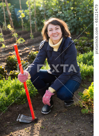 Woman hoeing in garden Woman hoeing in garden 68121479