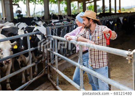 Successful farm family in cowshed 68121480