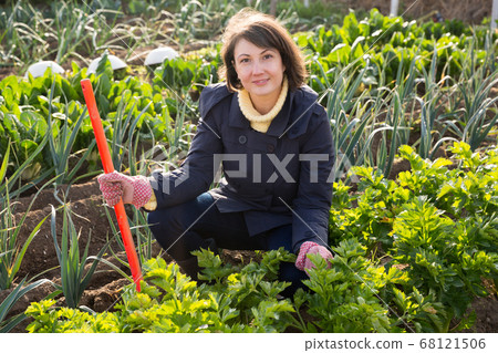 Woman working in garden 68121506