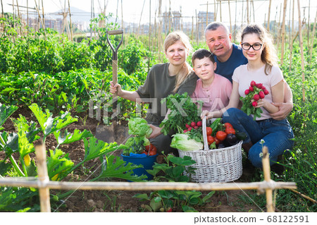 Family posing in garden with picked vegetables 68122591