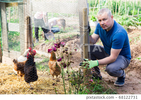 Amateur gardener squatting near chicken coop in homestead 68122731