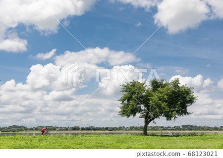 A blue sky and a tree A blue sky and a tree 68123021