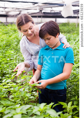Female professional gardener with boy looking white jute herbs 68123039