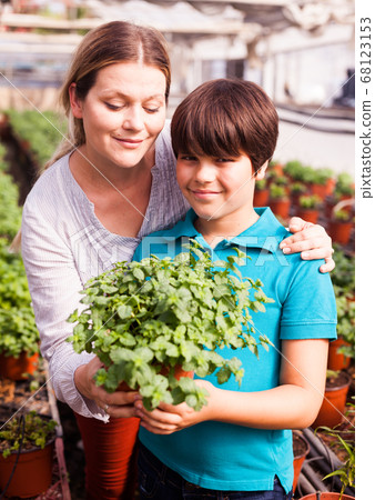 Little boy with mother working with peppermint seedlings in greenhouse 68123153
