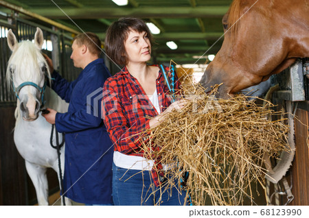 Worker spreading armfuls of hay at stable Worker spreading armfuls of hay at stable 68123990