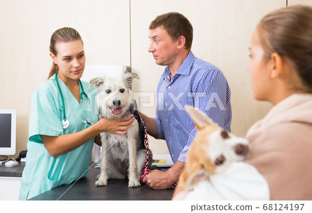 Father and daughter waiting for a vet diagnosis Father and daughter waiting for a vet diagnosis 68124197