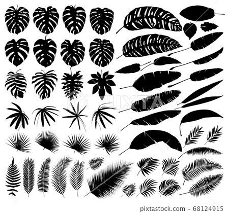 Vector set of silhouettes of tropical leaves, botanical isolated elements Vector set of silhouettes of tropical leaves, botanical isolated elements 68124915