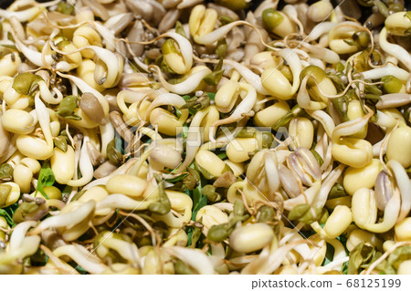 Close-up photo of sprouted seeds of pea, bean, mung, sunseed Close-up photo of sprouted seeds of pea, bean, mung, sunseed 68125199