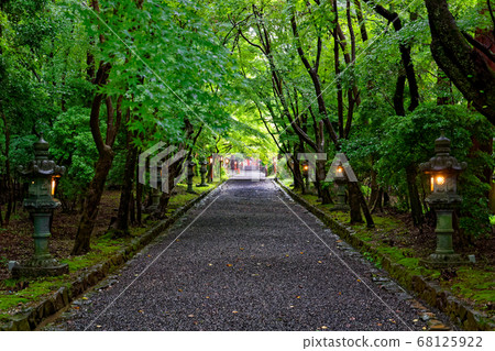 大原野神社著雨rev 1 照片素材 圖片 圖庫