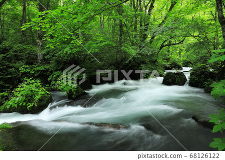 Oirase stream Oirase stream 68126122