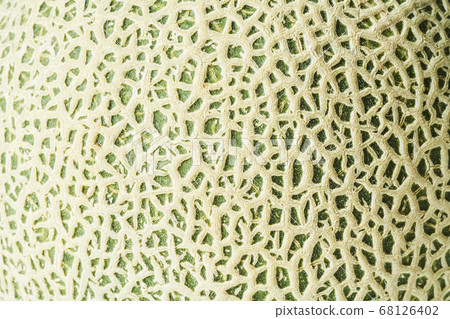 Mask melon close up 68126402