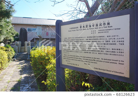 青木國洋紅薯試驗場(千葉市花川川區) 青木國洋紅薯試驗場(千葉市花川川區) 68126623