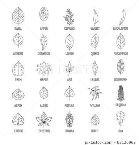 Leaf icons set, outline style 68126962