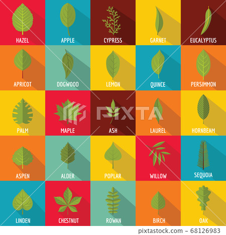 Leaf icons set, flat style 68126983