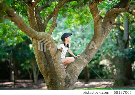 Girls climbing trees 68127005