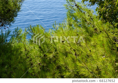 Adriatic sea view 68127652