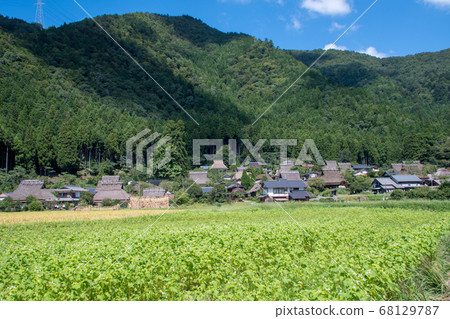 Kayabuki no Sato, early autumn in Miyama, Nantan City, Kyoto Prefecture Kayabuki no Sato, early autumn in Miyama, Nantan City, Kyoto Prefecture 68129787