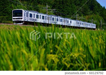 Inaho地毯和Boso自行車基地B.B.BASE Sotobo 68129792
