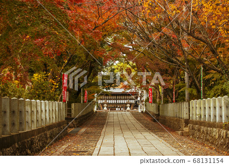 Hyuga Shrine, a famous spot for autumn leaves in Kyoto Hyuga Shrine, a famous spot for autumn leaves in Kyoto 68131154