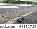 人行橫道和鞋子4 68131785