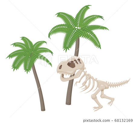 Illustration of plants of the dinosaur era and fossils of Tyrannosaurus _prehistoric _ ancient times 68132169