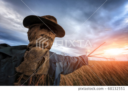 Scary scarecrow in a wheat field at sunset 68132551