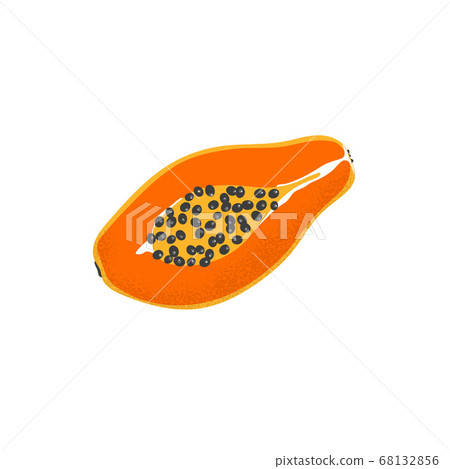 Isolated papaya icon. Vector tropical orange fruit 68132856