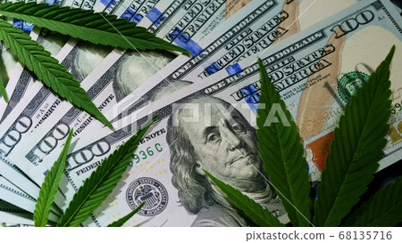 Cannabis marijuana leaves on money dollars under the smoke clouds. Concept of hemp, narcotic, drug Cannabis marijuana leaves on money dollars under the smoke clouds. Concept of hemp, narcotic, drug 68135716