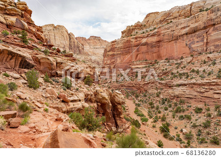 Beautiful landscape along the Cassidy Arch Trail 68136280