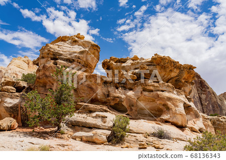 Beautiful landscape around the Hickman Bridge 68136343