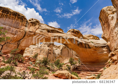 Sunny view of the Hickman Bridge of Capitol Reef 68136347
