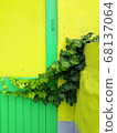 It's amazing how plants grow up pretty walls. 68137064