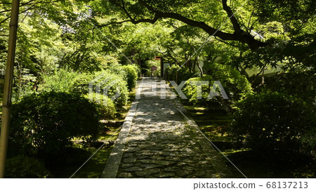 Ikkyu-ji,夏季藍楓的出路 Ikkyu-ji,夏季藍楓的出路 68137213