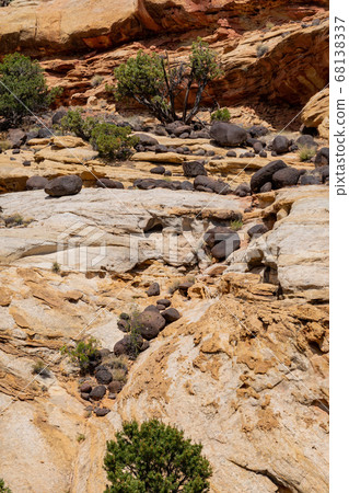 Beautiful landscape around the Hickman Bridge 68138337