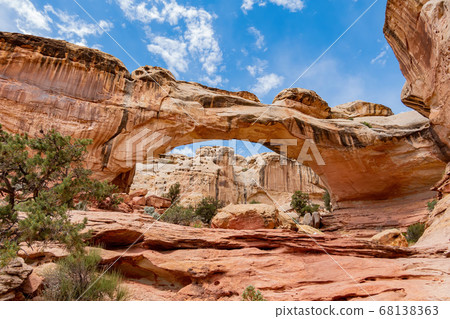 Sunny view of the Hickman Bridge of Capitol Reef 68138363