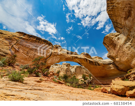 Sunny view of the Hickman Bridge of Capitol Reef Sunny view of the Hickman Bridge of Capitol Reef 68138454