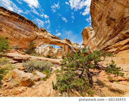 Sunny view of the Hickman Bridge of Capitol Reef Sunny view of the Hickman Bridge of Capitol Reef 68138455